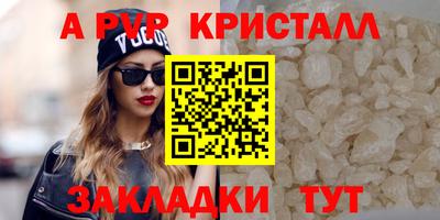 молекула духа Кингисепп