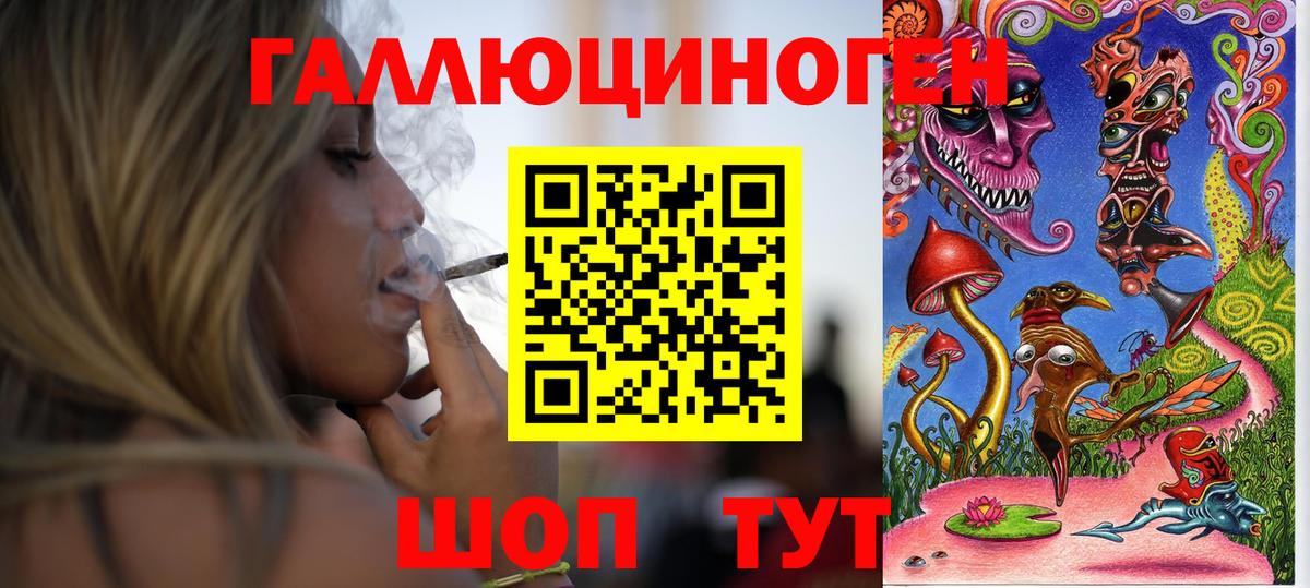 как найти   Галлюциногенные грибы Psilocybe  Вход с VPN  Кольчугино  Галлюциногенные грибы Cubensis 